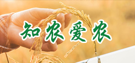 知农爱农